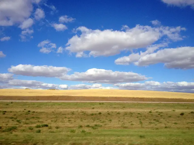 Autumn fields along Highway 11